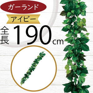 K[h  lC  tFCNO[ CeAO[ lHϗtA  A[eBtBVt[ A fR[V fBXvC t  ǖʑ V