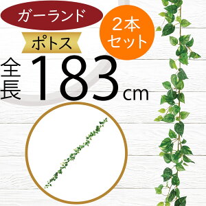 K[h  lC  tFCNO[ CeAO[ lHϗtA  A[eBtBVt[ A fR[V fBXvC t ǖʑ V t