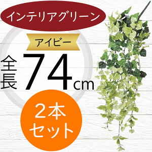 ACr[ tFCNO[  lC CeAO[ A ϗtA  A[gvc CeA Ƌ lHϗtA lH A[gO[ } ԍ IuWF t[