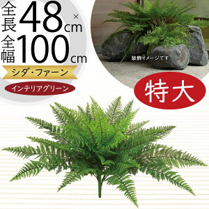 tFCNO[  CeAO[ A lHϗtA lC ϗtA A[gvc A[gO[  A[eBtBVt[ t ԍ t[AWg f