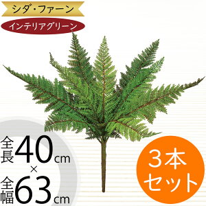 tFCNO[  CeAO[ A lHϗtA lC ϗtA A[gvc A[gO[  A[eBtBVt[ t ԍ t[AWg 