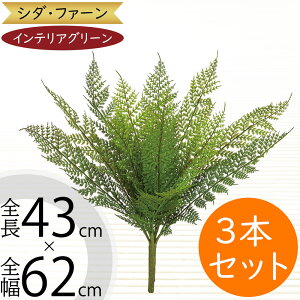 tFCNO[  CeAO[ A lHϗtA lC ϗtA A[gvc A[gO[  A[eBtBVt[ t ԍ t[AWg 