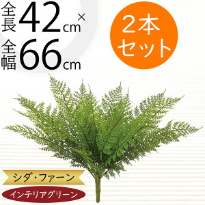 tFCNO[  CeAO[ A lHϗtA lC ϗtA A[gvc A[gO[  A[eBtBVt[ t ԍ t[AWg 