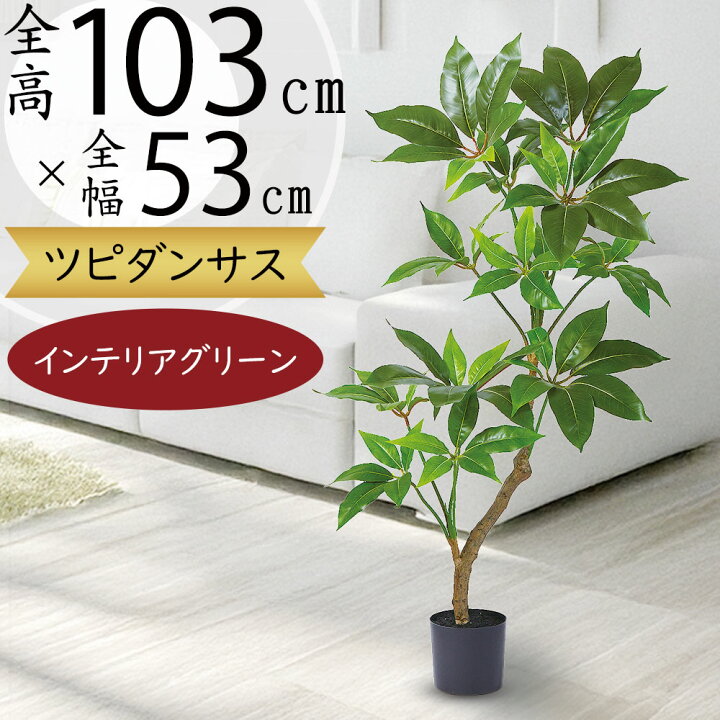 楽天市場】フェイクグリーン 観葉植物 ツピダンサス おしゃれ 