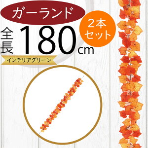 K[h  lC  pvL t tFCNO[ CeAO[ lHϗtA  A[eBtBVt[ A fR[V fBXvC t