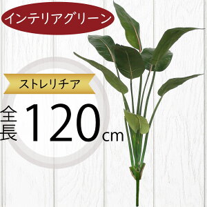 Xg`A Xg`A tFCNO[ ^  lC  A CeAO[ lHϗtA   ϗtA A[gO[ A[gvc CeA IuWF