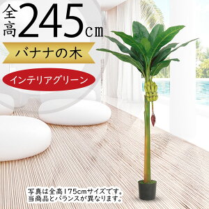 tFCNO[ ^ oii̖ t lC A  CeAO[ ϗtA lHϗtA   A[gO[  傫 傫 썑[h gsJ ][g 