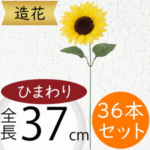 Ђ܂   lC  A q}  Tt[ t[AWg fBXvC A[eBtBVt[ ԍ  CeA A[gt[ lH