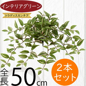 tFCNO[  lC CeAO[ A lHϗtA  lH A[gvc A[gO[ ϗtA ChAO[ CeA IuWF ԍ t 