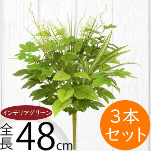 tFCNO[  lC CeAO[ A lHϗtA  lH A[gvc A[gO[ ϗtA ChAO[ CeA IuWF  ԍ t 