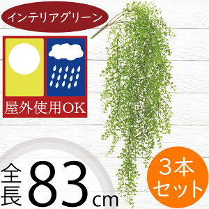 tFCNO[ Op ^ CeAO[  lC A lHϗtA  A[gvc lH  oRj[ t@T[h x_ eX iσfUC OΉ 