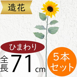 Ђ܂  ^  lC  A q}  Tt[ t[AWg fBXvC A[eBtBVt[ ԍ  CeA A[gt[ 