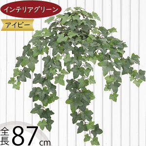 ACr[ tFCNO[ ^  lC CeAO[ A ϗtA  A[gvc CeA Ƌ lHϗtA lH A[gO[ } t  ԍ IuW