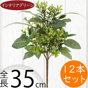 tFCNO[  lC CeAO[ A lHϗtA  lH A[gvc A[gO[ ϗtA ChAO[ CeA IuWF  ԍ t 