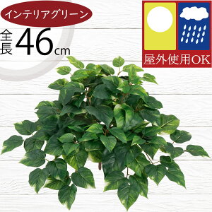 tFCNO[ |gX Op CeAO[  lC A lHϗtA  A[gvc lH  oRj[ t@T[h x_ eX iσfUC O