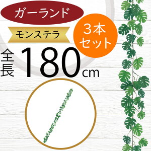 tFCNO[ K[h Xe ϗtA lC  A CeAO[ c^    lHϗtA t IuWF A[gO[ t[AWg {