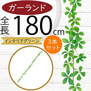 K[h  lC  A tFCNO[ CeAO[ lHϗtA  A[eBtBVt[ fR[V fBXvC t ǖʑ V t