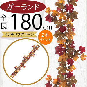 K[h  lC  tFCNO[ CeAO[ lHϗt  A[eBtBVt[ A fR[V fBXvC t ǖʑ V  t