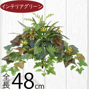 tFCNO[ lC  A ϗtA CeAO[ lHϗtA  A[gO[ lH ԍ t   CeA IuWF t[AWg fBXv