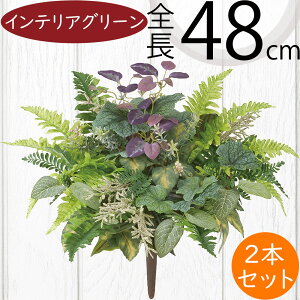 tFCNO[  CeAO[ A lHϗtA lC ϗtA A[gvc A[gO[  A[eBtBVt[ t ԍ t[AWg 