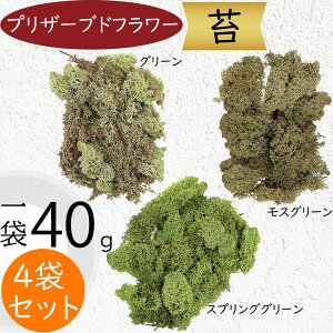 vU[uht[ X   VRf ACXhX RP  Rf ԍ  f ޗ Mtg t[AWg fBXvC CeA IuWF  Xv