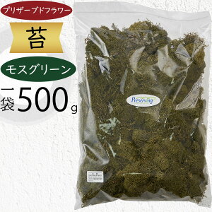 vU[uht[ X  XO[   VRf AChX RP Rf ԍ  f ֗ G Mtg t[AWg fBXvC OEhJo[ 