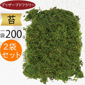 プリザーブドフラワー モス 苔 山ゴケ グリーン おしゃれ 天然素材 山苔 コケ こけ ドライ 自然素材 花材 資材 素材 材料 ギフト フラワーアレンジメント ディスプレイ インテリア オブジェ お洒落 NFD資格検定試験対応資材 2袋セット 1袋約200g 敷き詰め面積：55cm×55cm