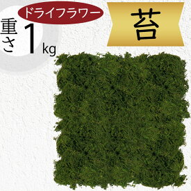 ドライフラワー モス 苔 こけ コケ 天然素材 人気 おしゃれ 山苔 ヤマゴケ リアル DIY フェイクグリーン 観葉植物 自然素材 インテリアグリーン アートグリーン 造花 ガーデン 花材 フラワーアレンジメント ディスプレイ 装飾 お洒落 おすすめ diy moss 1.1m×1.1m 大袋1kg