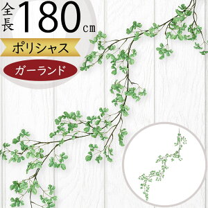 K[h  lC  tFCNO[ CeAO[ lHϗtA  A[eBtBVt[ A fR[V fBXvC t  ǖʑ V