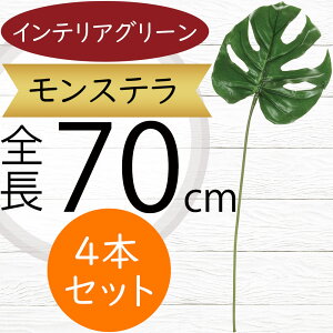 tFCNO[ Xe ^ ϗtA lC  A CeAO[  lHϗtA lH t IuWF A[gO[ t[AWg t {