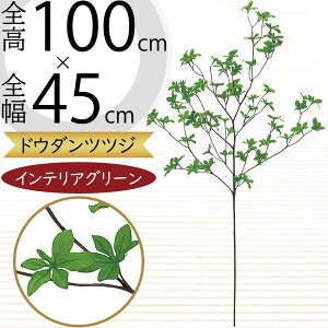 hE_ccW tFCNO[ ^  ϗtA A lC CeAO[ lHϗtA lH  A[gvc A[gO[ CeA  fBXvC I