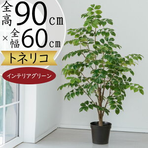 tFCNO[  lC A CeAO[ glR V}glR A[gvc  lHϗtA lH A[gO[ IuWF  rO ItBX X V