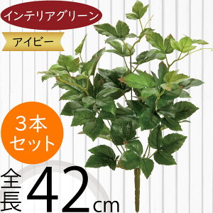 ACr[ tFCNO[  lC CeAO[ A ϗtA  A[gvc CeA lHϗtA lH } t t ԍ IuWF t[AW