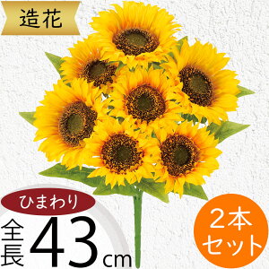 Ђ܂   lC  A q}  Tt[ t[AWg fBXvC A[eBtBVt[ ԍ  CeA A[gt[ lH