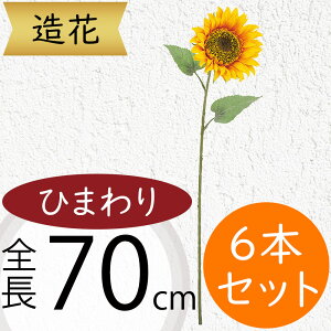 Ђ܂  ^  lC  A q}  Tt[ t[AWg fBXvC A[eBtBVt[ ԍ  CeA A[gt[ 