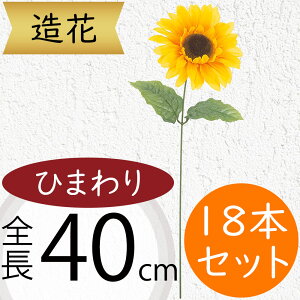 Ђ܂   lC  A q}  Tt[ t[AWg fBXvC A[eBtBVt[ ԍ  CeA A[gt[ lH