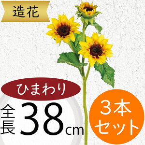 Ђ܂   lC  A q}  Tt[ t[AWg fBXvC A[eBtBVt[ ԍ  CeA A[gt[ lH