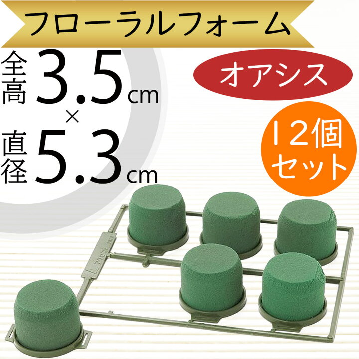 楽天市場】オアシス スポンジ 吸水 給水 人気 おすすめ 生花用 