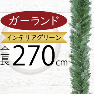 K[h ^  lC tFCNO[ CeAO[ lHϗtA  G A[eBtBVt[ A fR[V fBXvC  ǖ Ǌ|p a