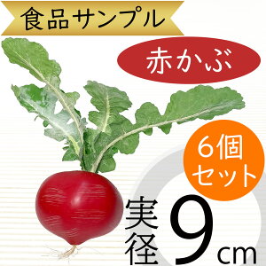 食品サンプル 赤かぶ 人気 赤カブ リアル フェイクフード 野菜 かぶ カブ 蕪 ベジタブル サラダ 果物 造花 おすすめ フラワーアレンジメント ディスプレイ スーパー 装飾 模型 陳列 店内 飲食