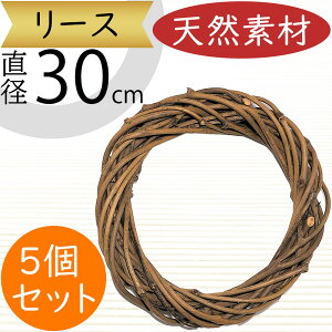 [X VRf lC ǖʑ Ǌ|p ǖʗp t[x[X Ԋ y x[X  Rf ԍ t[AWg  ֌` ֌^ O h[ic^ h[ic`  C