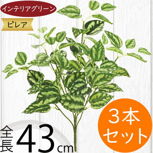 tFCNO[  CeAO[ A lC lHϗtA A[gvc A[gO[ ϗtA  A[eBtBVt[ lH t ԍ t[A