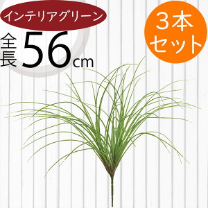 tFCNO[  lC CeAO[ A lHϗtA  lH A[gvc A[gO[ ϗtA ChAO[ CeA IuWF ԍ t  t