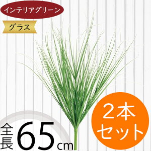 tFCNO[  lC CeAO[ A lHϗtA  lH A[gvc A[gO[ ϗtA ChAO[ CeA IuWF ԍ t  t