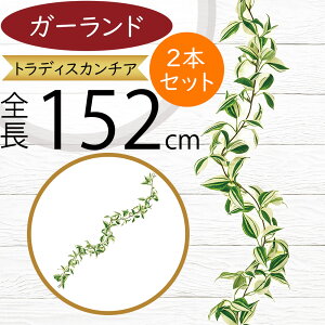 K[h  lC  A tFCNO[ CeAO[ lHϗtA  A[eBtBVt[ fR[V fBXvC t ǖʑ tF