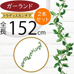 K[h  lC  A tFCNO[ CeAO[ lHϗtA  A[eBtBVt[ fR[V fBXvC t ǖʑ tF