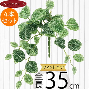 tFCNO[  lC CeAO[ A lHϗtA  lH A[gvc A[gO[ ϗtA ChAO[ CeA G IuWF ԍ t 