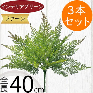 ^}V_ tFCNO[  CeAO[ A lHϗtA ϗtA  A[eBtBVt[ t ԍ ʃV_ ltsX t[AWg fBXv