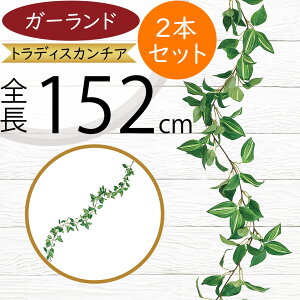 K[h  lC  A tFCNO[ CeAO[ lHϗtA  A[eBtBVt[ fR[V fBXvC t ǖʑ tF