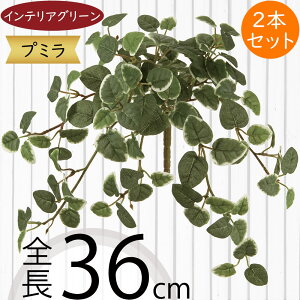 tFCNO[  lC CeAO[ A lHϗtA  lH A[gvc A[gO[ ϗtA ChAO[ CeA G Ƌ IuWF ԍ 